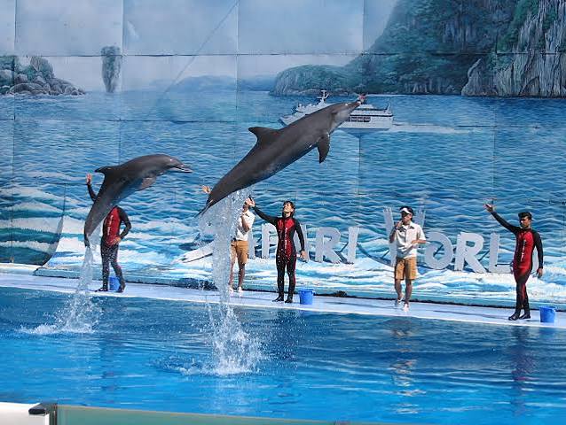 Safari World and Marine Park with lunch